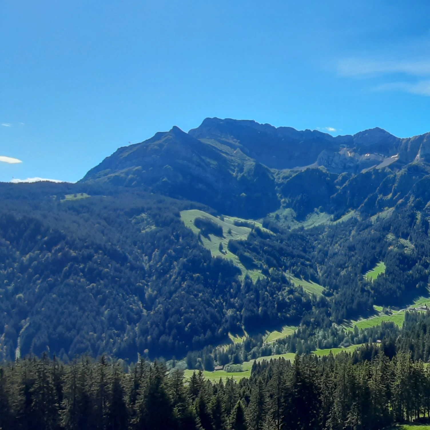 Wanderung den Studberg hinauf