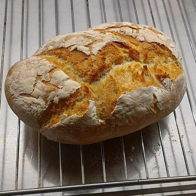 Basic Bread